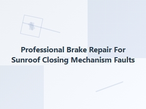 Sunroof Mechanism Repair: Brake System Replacement